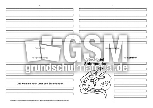 Salamander-Faltbuch-vierseitig-1.pdf